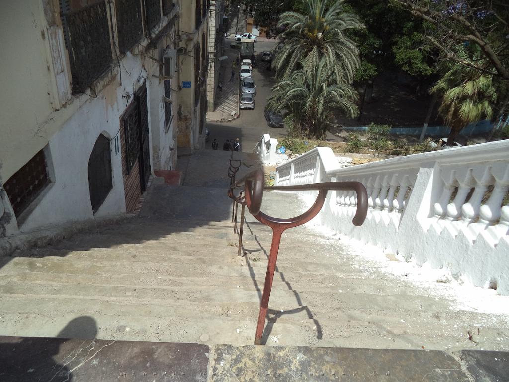 2018 05 VOYAGE A ORAN EN MAI 2018 (93).JPG -                                
